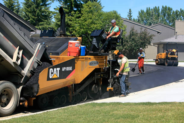 Best Professional Driveway Pavers  in Appleton City, MO